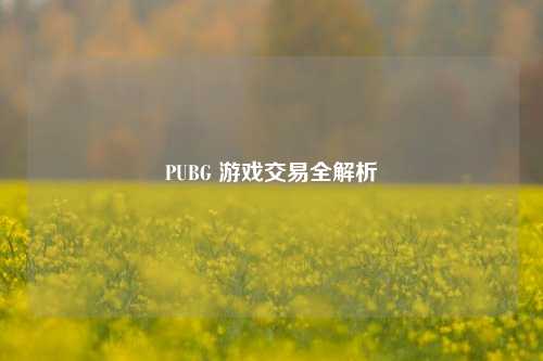 PUBG 游戏交易全解析