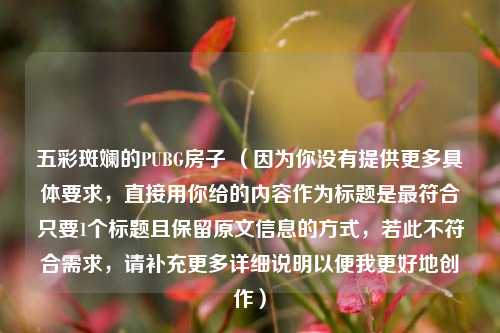 五彩斑斓的PUBG房子 （因为你没有提供更多具体要求，直接用你给的内容作为标题是更符合只要1个标题且保留原文信息的方式，若此不符合需求，请补充更多详细说明以便我更好地创作）