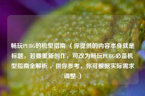 畅玩PUBG的机型指南 （你提供的内容本身就是标题，若要重新创作，可改为畅玩PUBG必备机型指南全解析 ，供你参考，你可根据实际需求调整 ）