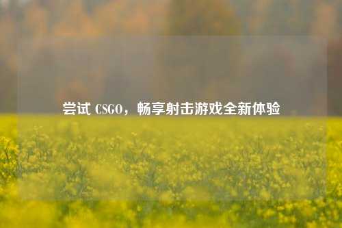 尝试 CSGO，畅享射击游戏全新体验