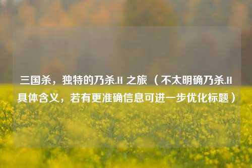 三国杀，独特的乃杀.H 之旅 （不太明确乃杀.H具体含义，若有更准确信息可进一步优化标题）