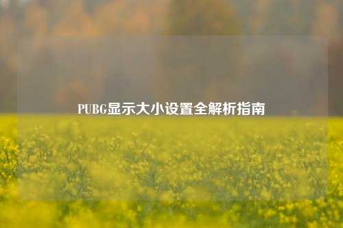 PUBG显示大小设置全解析指南
