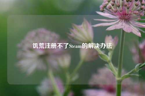 饥荒注册不了Steam的解决办法