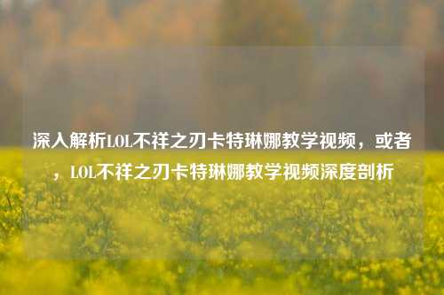 深入解析LOL不祥之刃卡特琳娜教学视频，或者，LOL不祥之刃卡特琳娜教学视频深度剖析