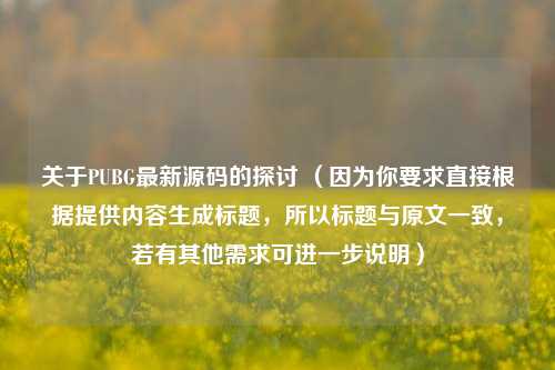 关于PUBG最新源码的探讨 （因为你要求直接根据提供内容生成标题，所以标题与原文一致，若有其他需求可进一步说明）