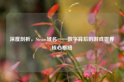 深度剖析，Steam域名——数字背后的游戏世界核心枢纽