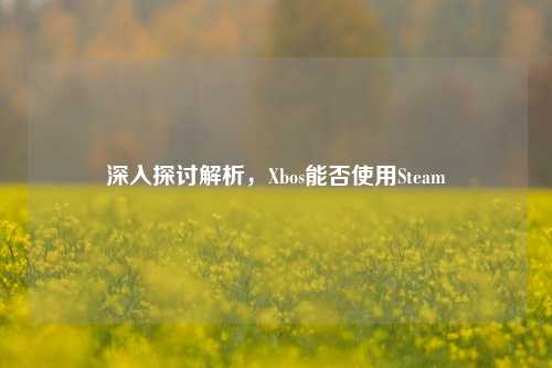 深入探讨解析，Xbos能否使用Steam
