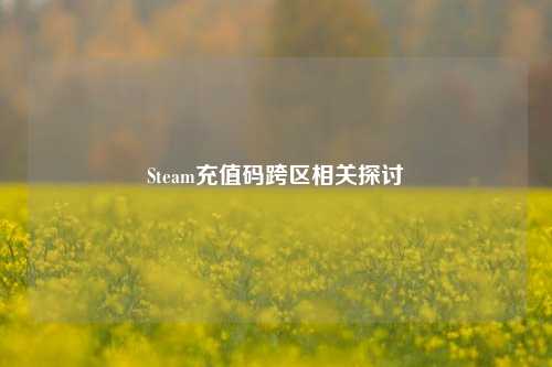 Steam充值码跨区相关探讨