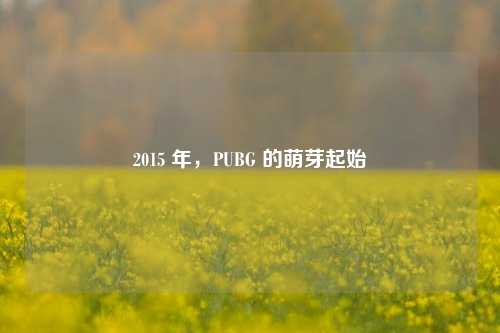 2015 年，PUBG 的萌芽起始