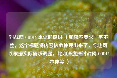 对战网 COD16 本体的探讨 （如果不要求一字不差，这个标题将内容核心体现出来了，你也可以根据实际需求调整，比如深度探讨战网 COD16 本体等 ）