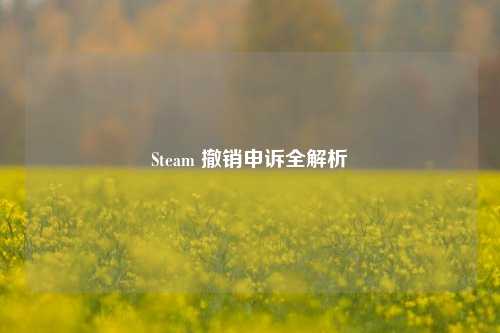 Steam 撤销申诉全解析