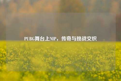PUBG舞台上NIP，传奇与挑战交织