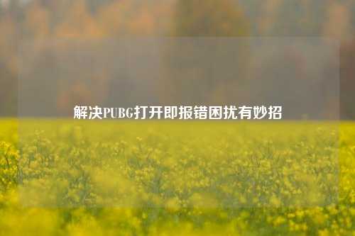 解决PUBG打开即报错困扰有妙招