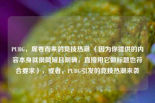PUBG，席卷而来的竞技热潮 （因为你提供的内容本身就很简短且明确，直接用它做标题也符合要求），或者，PUBG引发的竞技热潮来袭