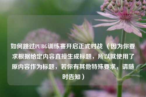 如何跳过PUBG训练赛开启正式对战 (因为你要求根据给定内容直接生成标题,所以就使用了原内容作为标题,若你有其他特殊要求,请随时告知)
