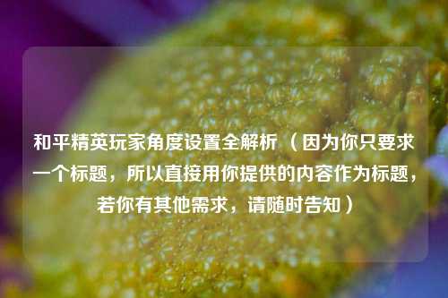 和平精英玩家角度设置全解析 (因为你只要求一个标题,所以直接用你提供的内容作为标题,若你有其他需求,请随时告知)