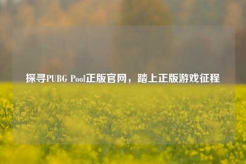探寻PUBG Pool正版官网,踏上正版游戏征程