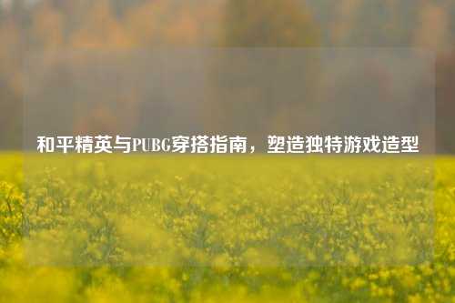 和平精英与PUBG穿搭指南，塑造独特游戏造型