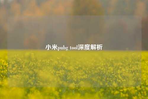 小米pubg tool深度解析