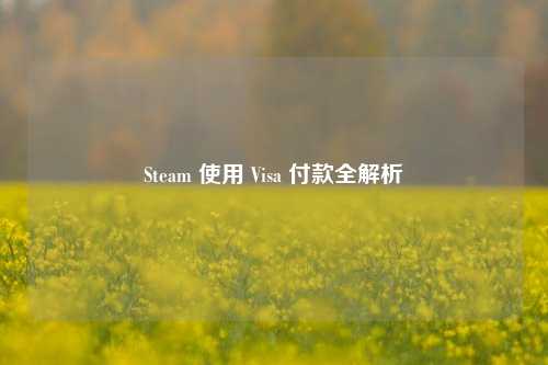 Steam 使用 Visa 付款全解析
