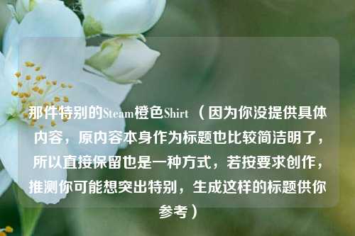 那件特别的Steam橙色Shirt （因为你没提供具体内容，原内容本身作为标题也比较简洁明了，所以直接保留也是一种方式，若按要求创作，推测你可能想突出特别，生成这样的标题供你参考）