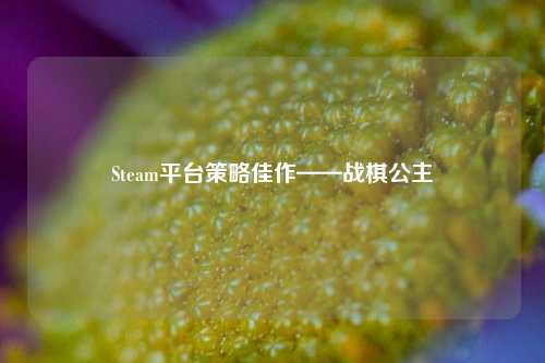 Steam平台策略佳作——战棋公主