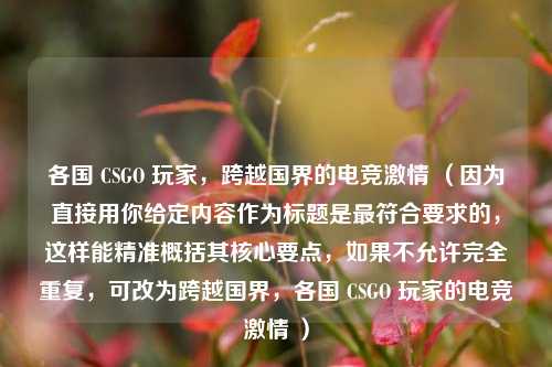 各国 CSGO 玩家，跨越国界的电竞*** （因为直接用你给定内容作为标题是更符合要求的，这样能精准概括其核心要点，如果不允许完全重复，可改为跨越国界，各国 CSGO 玩家的电竞*** ）