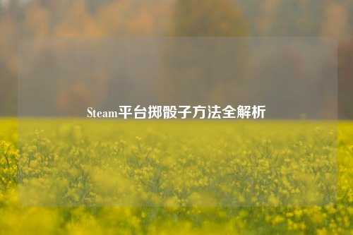 Steam平台掷骰子 *** 全解析