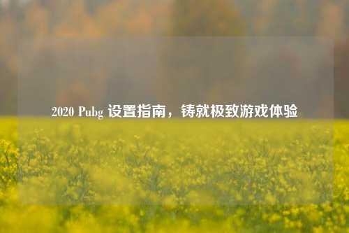 2020 Pubg 设置指南，铸就极致游戏体验
