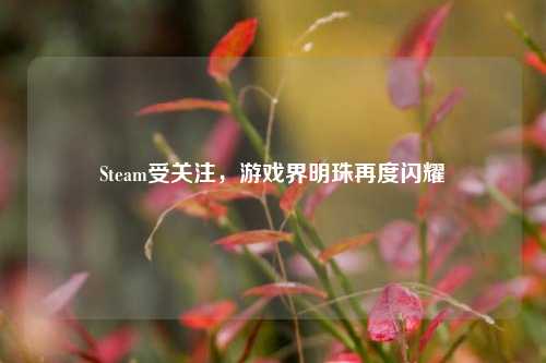 Steam受关注，游戏界明珠再度闪耀