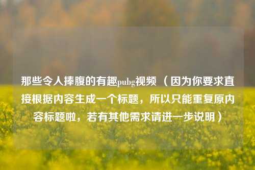 那些令人捧腹的有趣pubg视频 （因为你要求直接根据内容生成一个标题，所以只能重复原内容标题啦，若有其他需求请进一步说明）