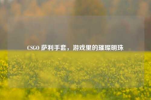 CSGO 萨利手套，游戏里的璀璨明珠