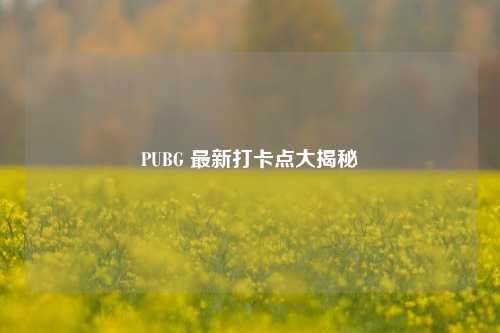 PUBG 最新打卡点大揭秘