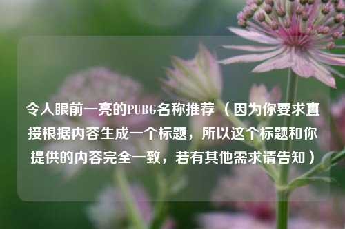 令人眼前一亮的PUBG名称推荐 （因为你要求直接根据内容生成一个标题，所以这个标题和你提供的内容完全一致，若有其他需求请告知）