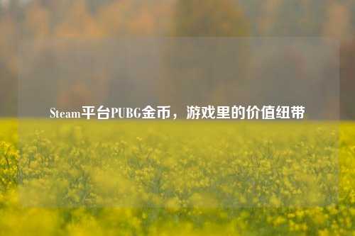 Steam平台PUBG金币,游戏里的价值纽带