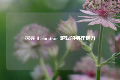 探寻 Humn steam 游戏的别样魅力