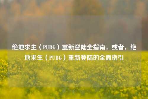绝地求生（PUBG）重新登陆全指南，或者，绝地求生（PUBG）重新登陆的全面指引