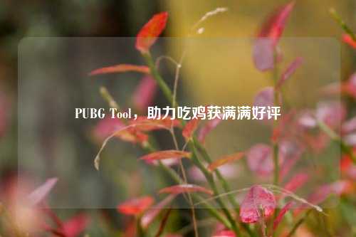 PUBG Tool，助力吃鸡获满满好评