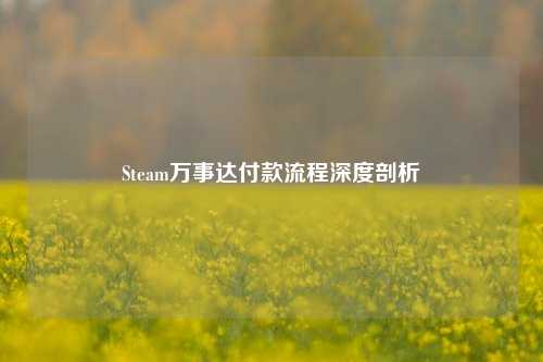 Steam万事达付款流程深度剖析