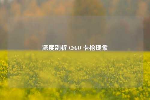 深度剖析 CSGO 卡枪现象
