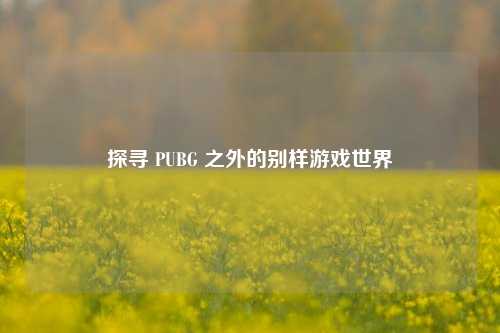 探寻 PUBG 之外的别样游戏世界