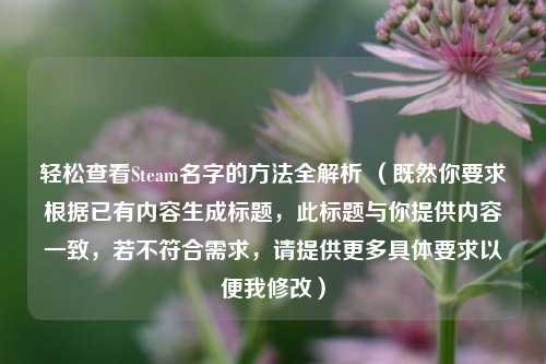 轻松查看Steam名字的 *** 全解析 （既然你要求根据已有内容生成标题，此标题与你提供内容一致，若不符合需求，请提供更多具体要求以便我修改）