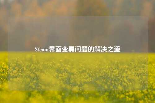 Steam界面变黑问题的解决之道