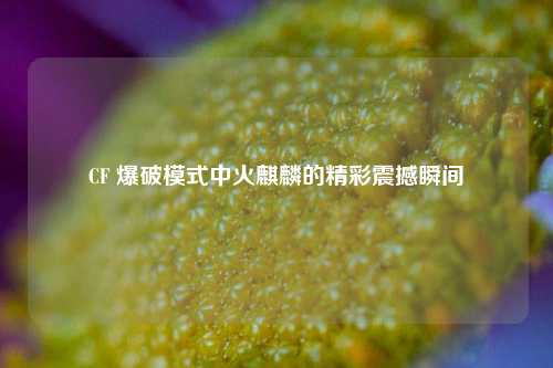 CF 爆破模式中火麒麟的精彩震撼瞬间