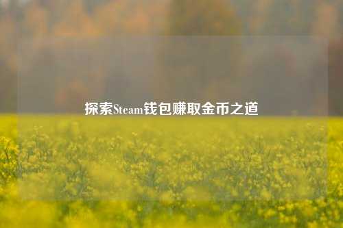 探索Steam钱包赚取金币之道