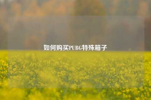 如何购买PUBG特殊箱子