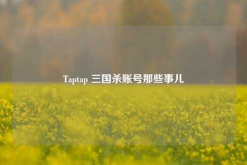 Taptap 三国杀账号那些事儿
