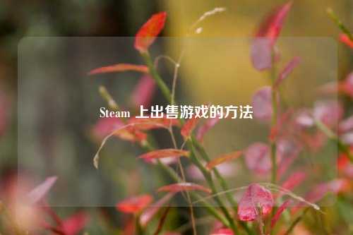 Steam 上出售游戏的 *** 