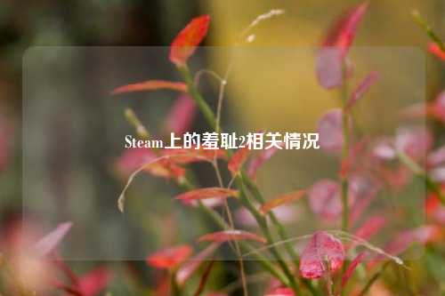 Steam上的羞耻2相关情况