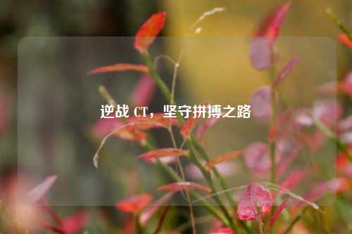 逆战 CT，坚守拼搏之路